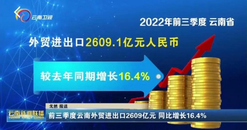 了解云南贸易公司的多元化优势